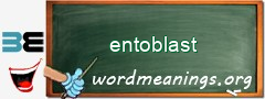 WordMeaning blackboard for entoblast